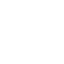 Professional Polish Icon